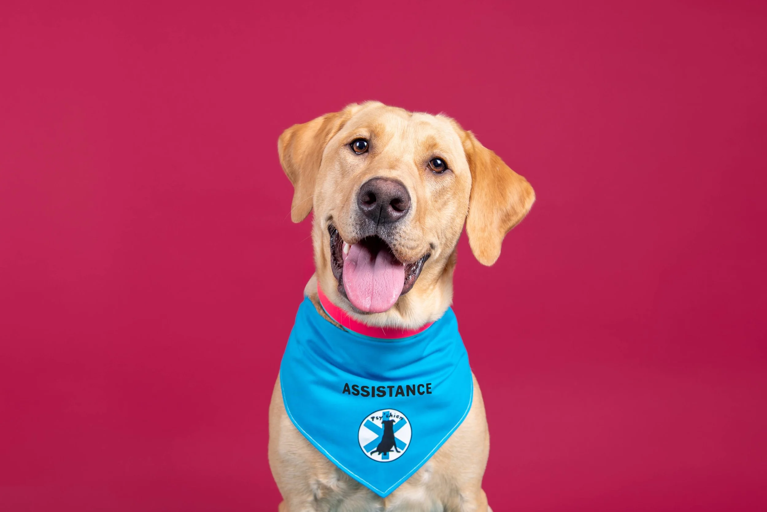 CHAUVIN, Prudence - FINAL-1.jpg