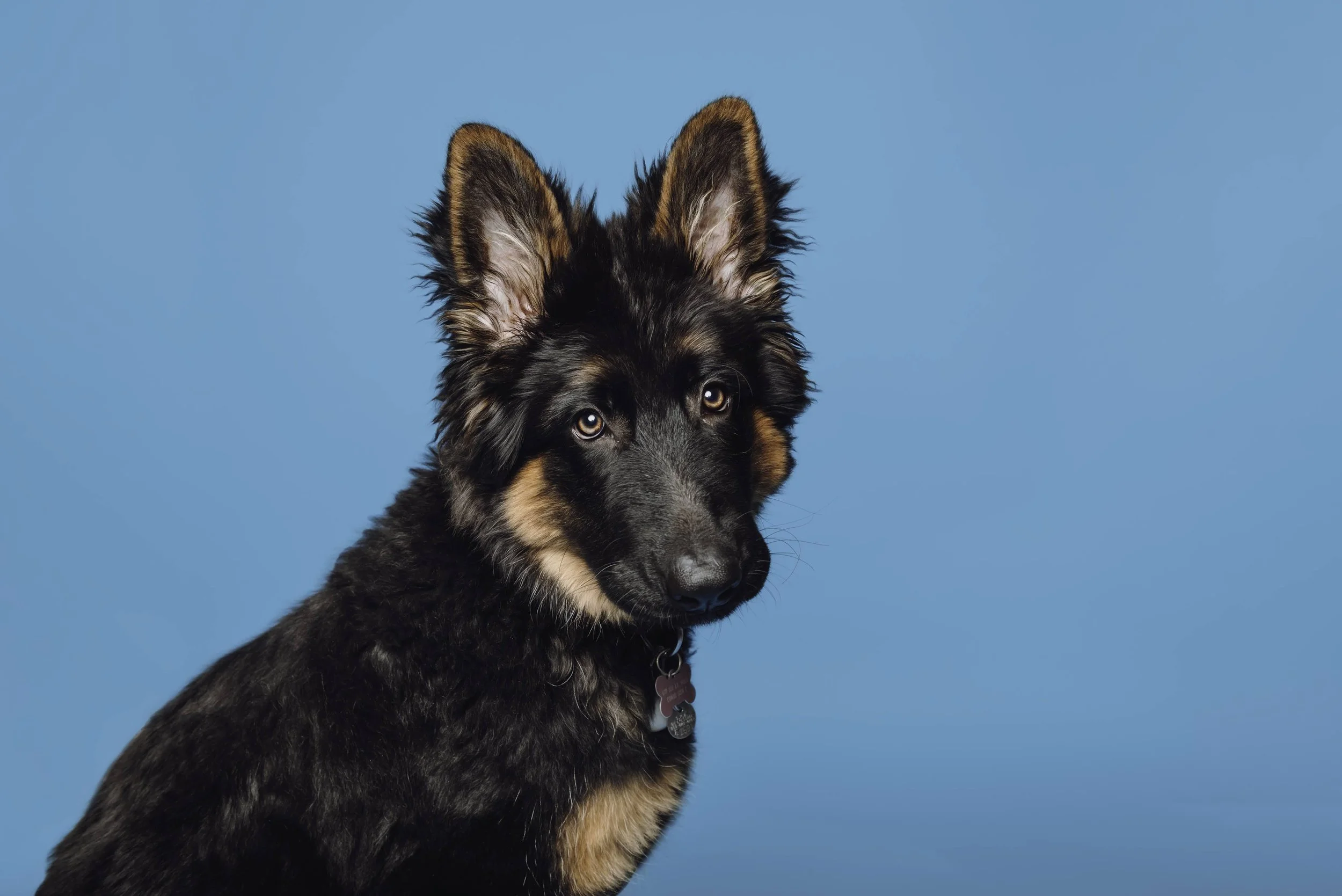 GALVIN, Sylvie-2.jpg