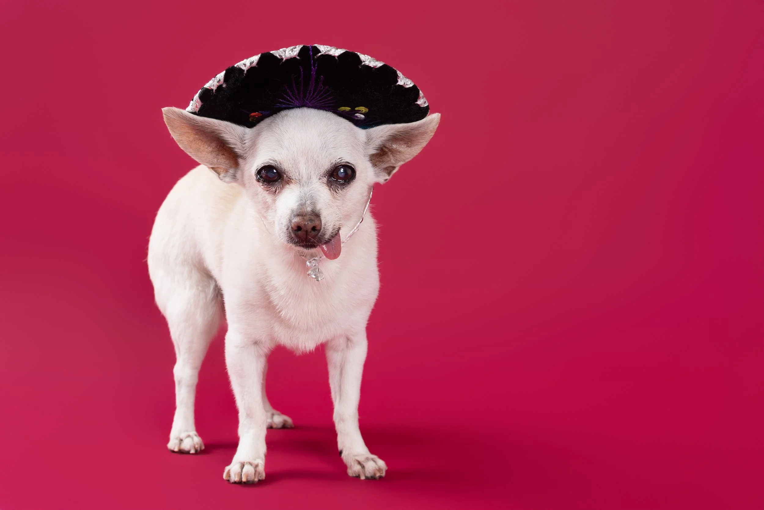 LOPEZ, Karen - FINAL-7.jpg