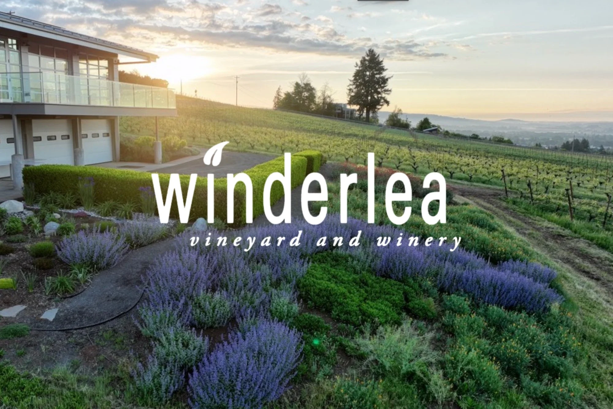 winderlea+wine+dinner+woods+hill.jpg