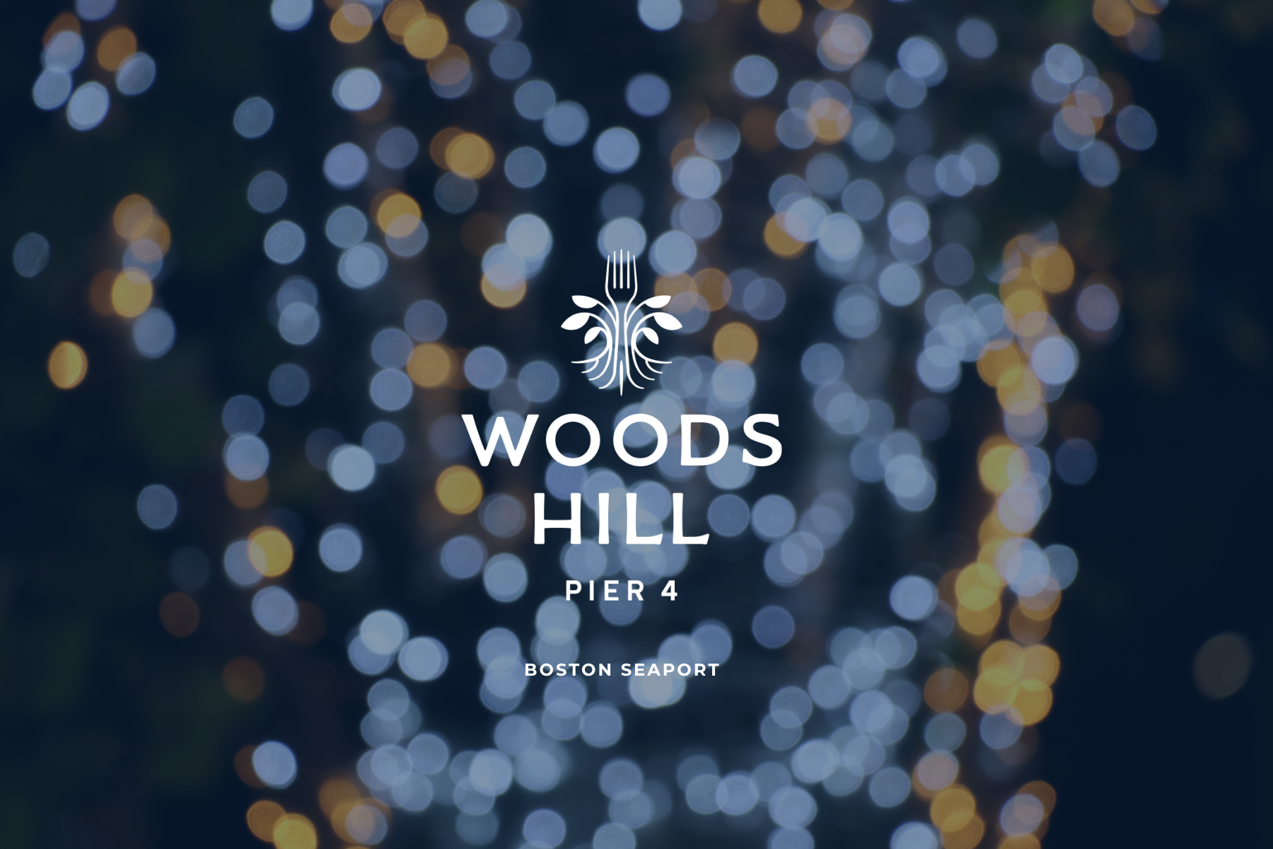 BOSTON SEAPORT COVER.png