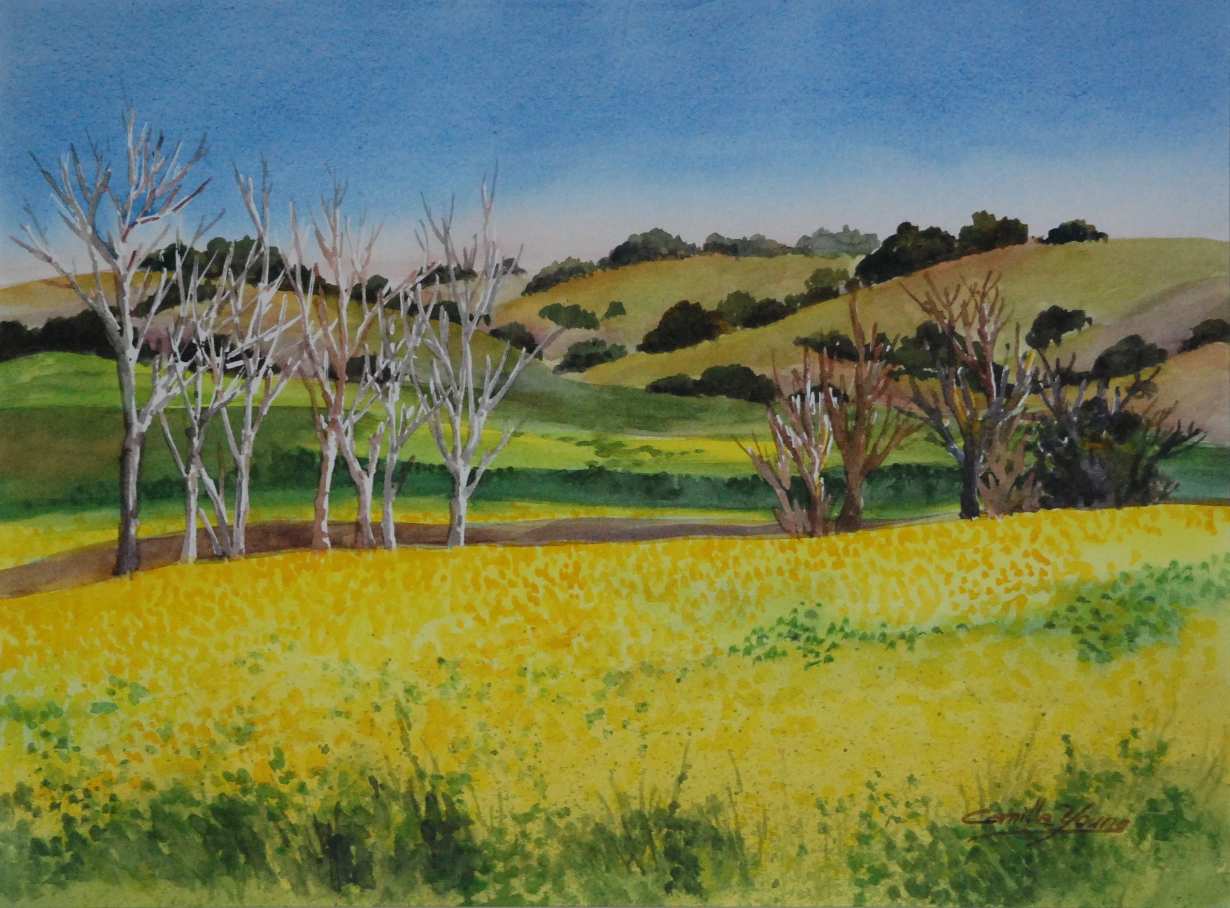 Mustard Field More Info →