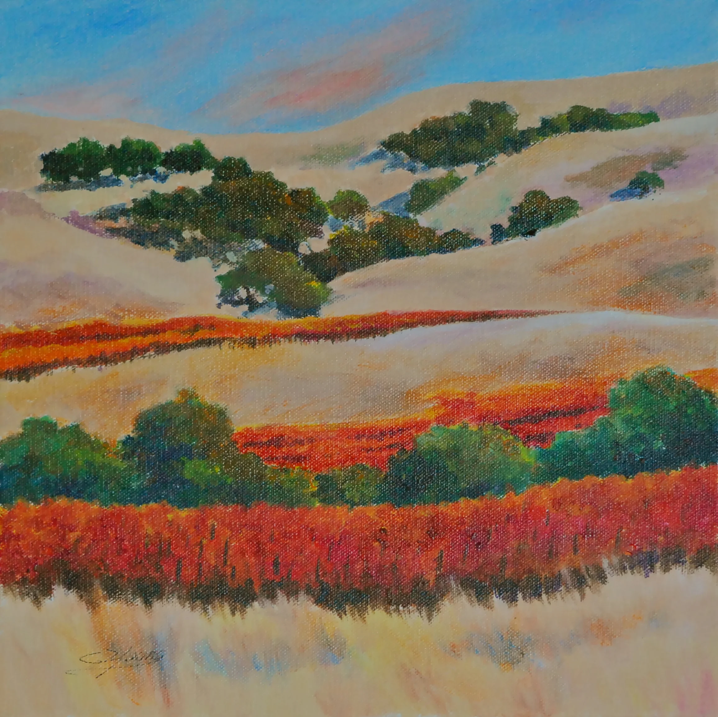 Sonoma Fall More Info →