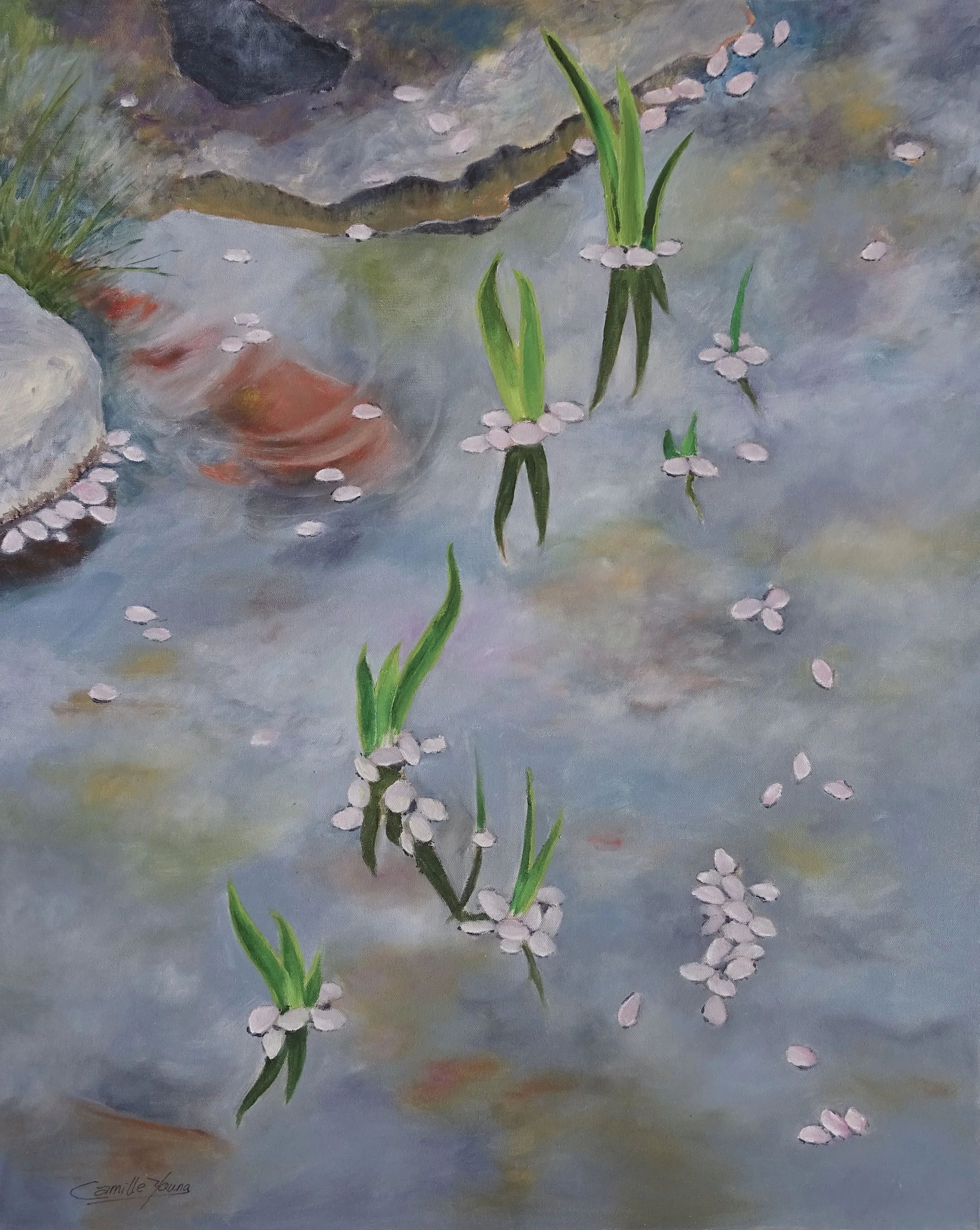 Pond More Info →