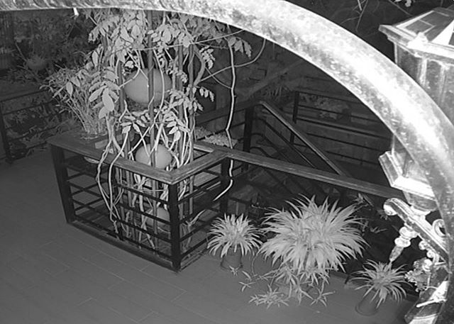 photo from surveillance camera