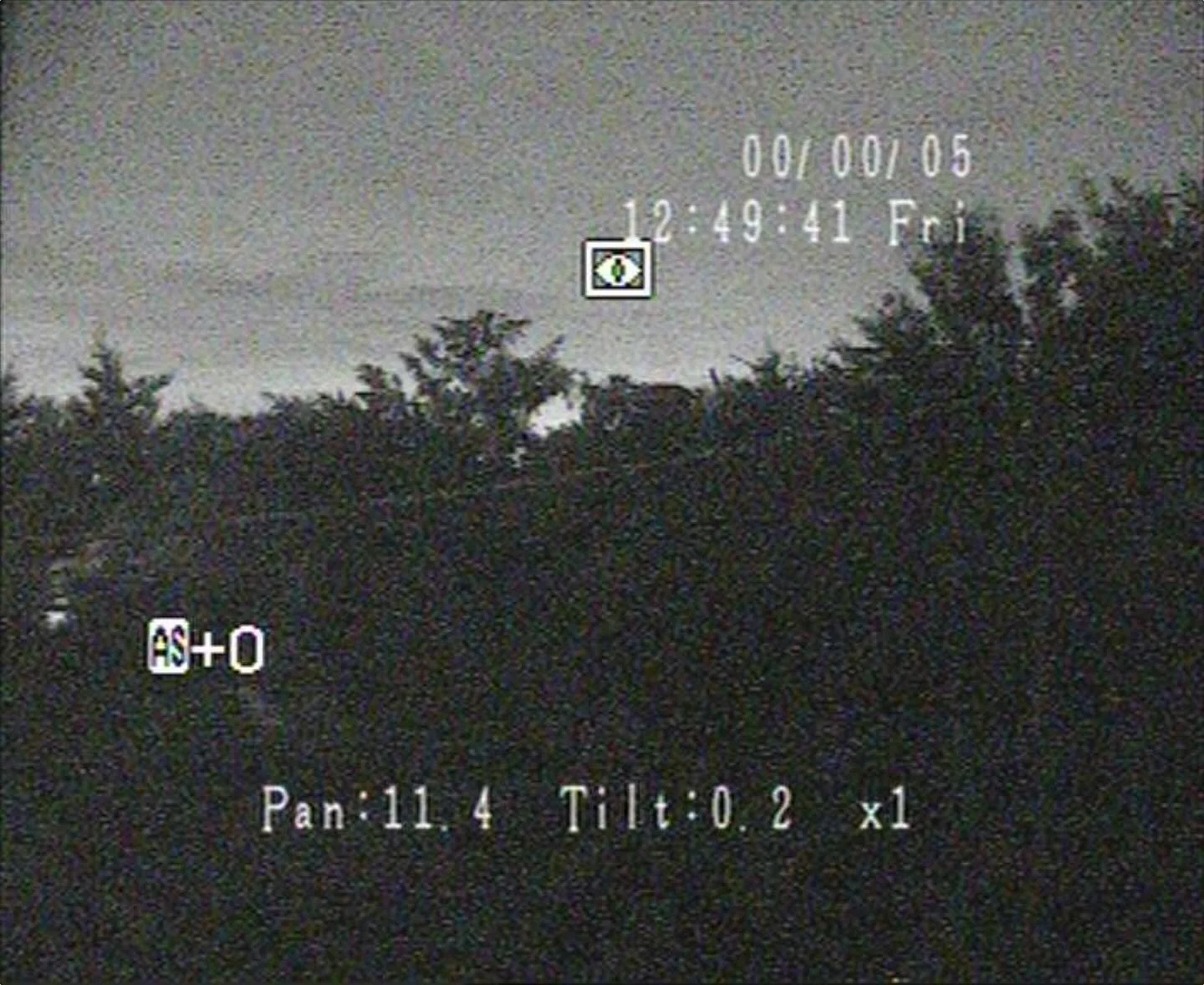 photo from surveillance camera