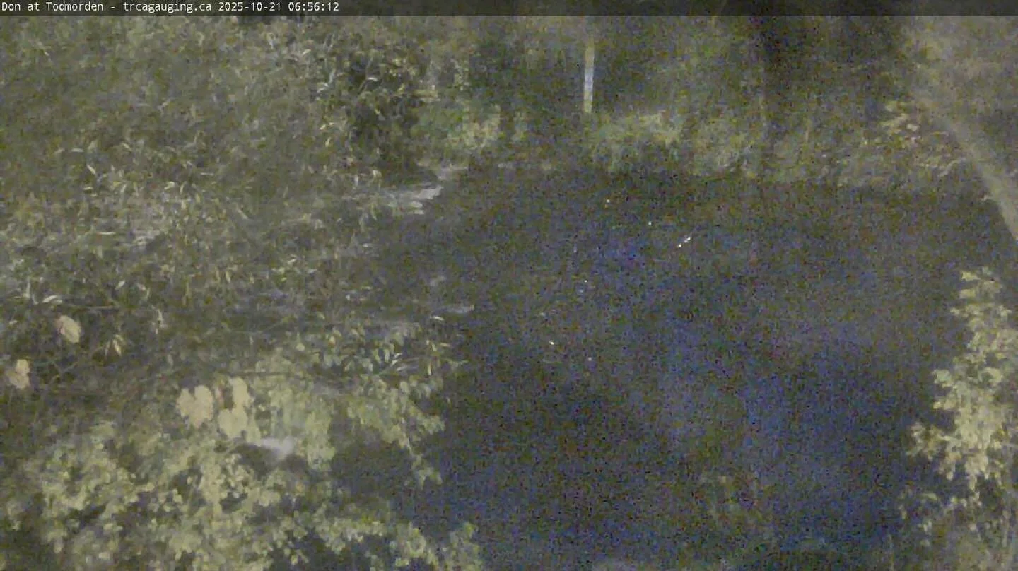 photo from surveillance camera