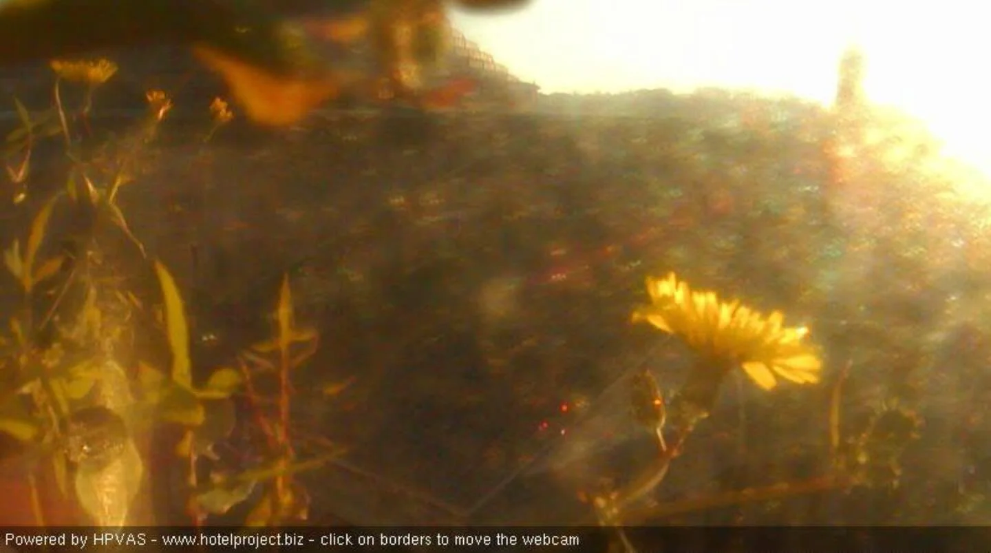 photo from surveillance camera