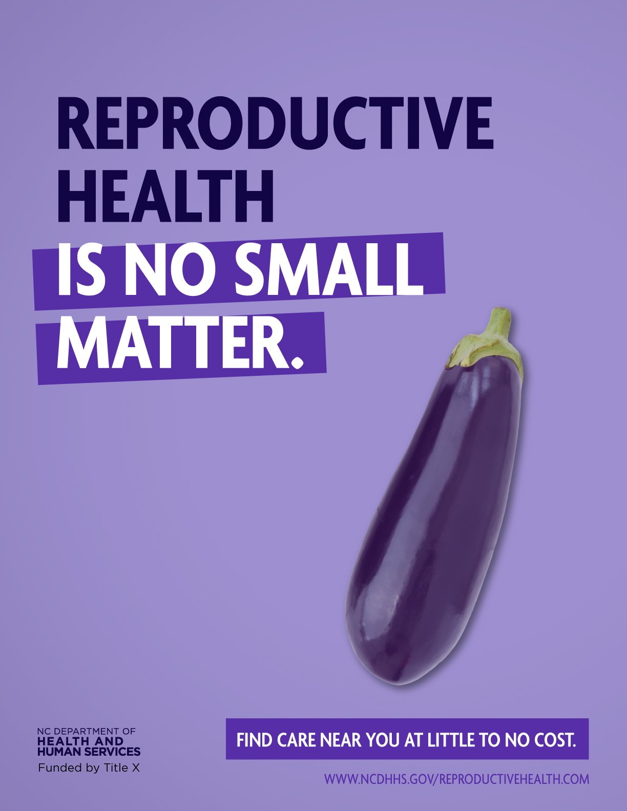 DHHS-3733_ReproductiveHealth_IndoorPoster_17x22_Eggplant_L1.jpg