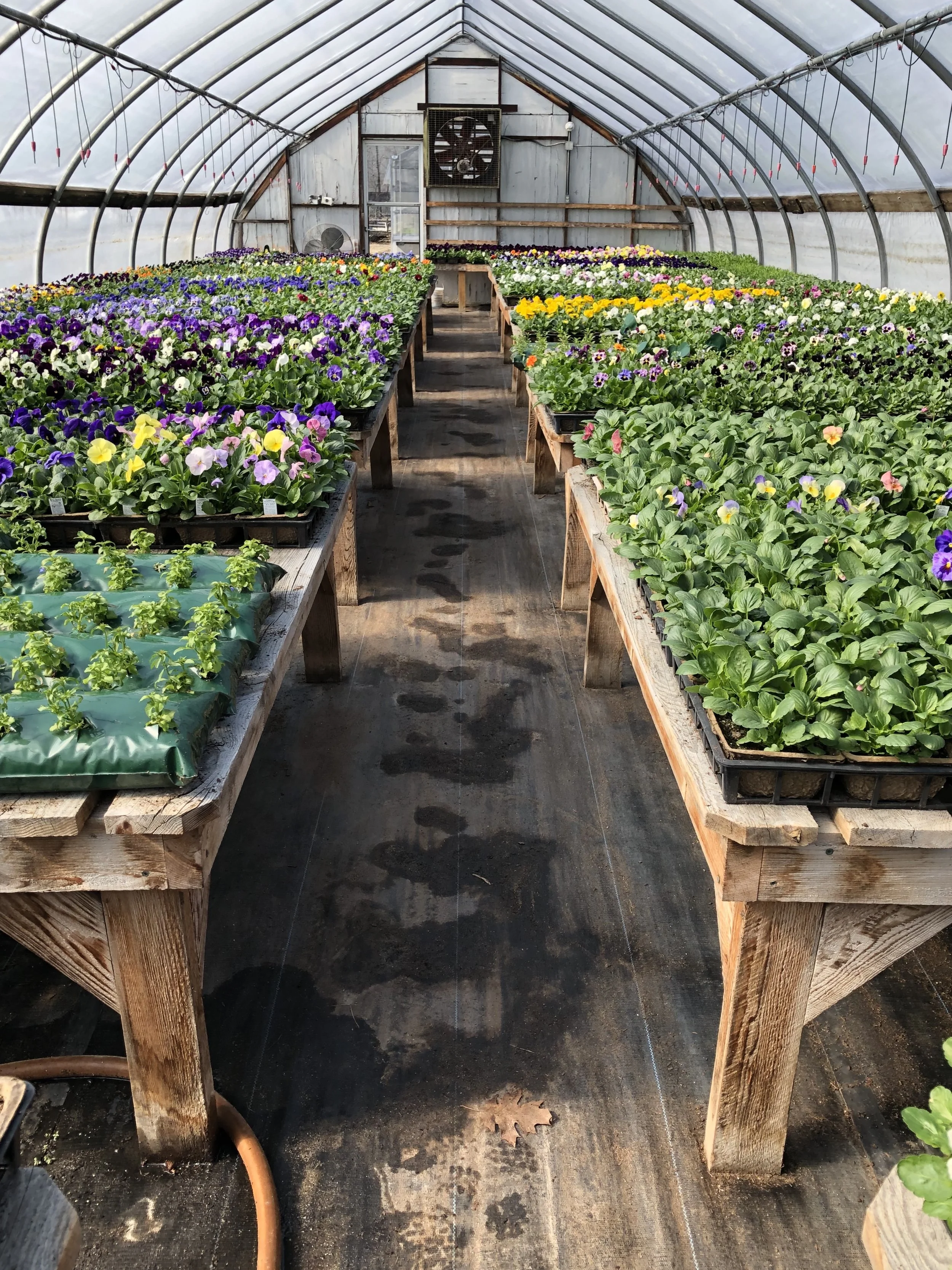 Garden Spot Farm in Pownal