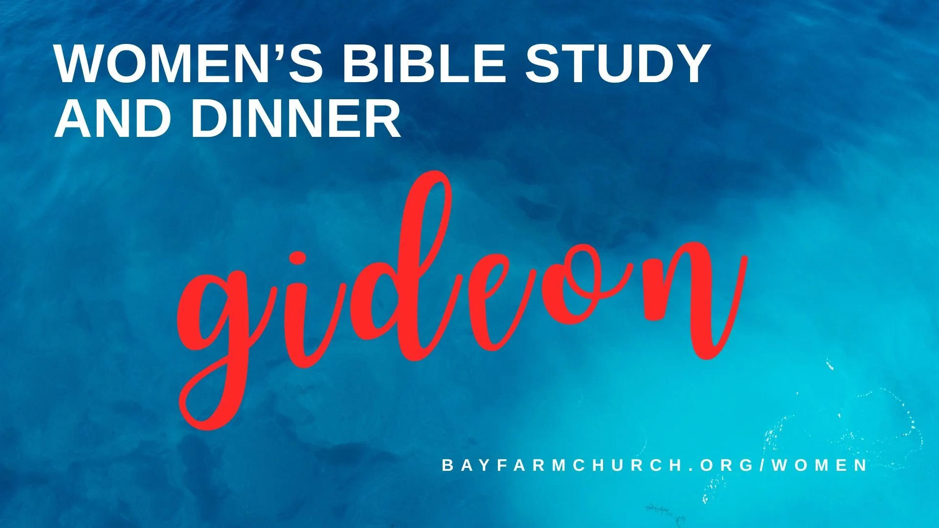 led wall - spring 2026 (2).jpg