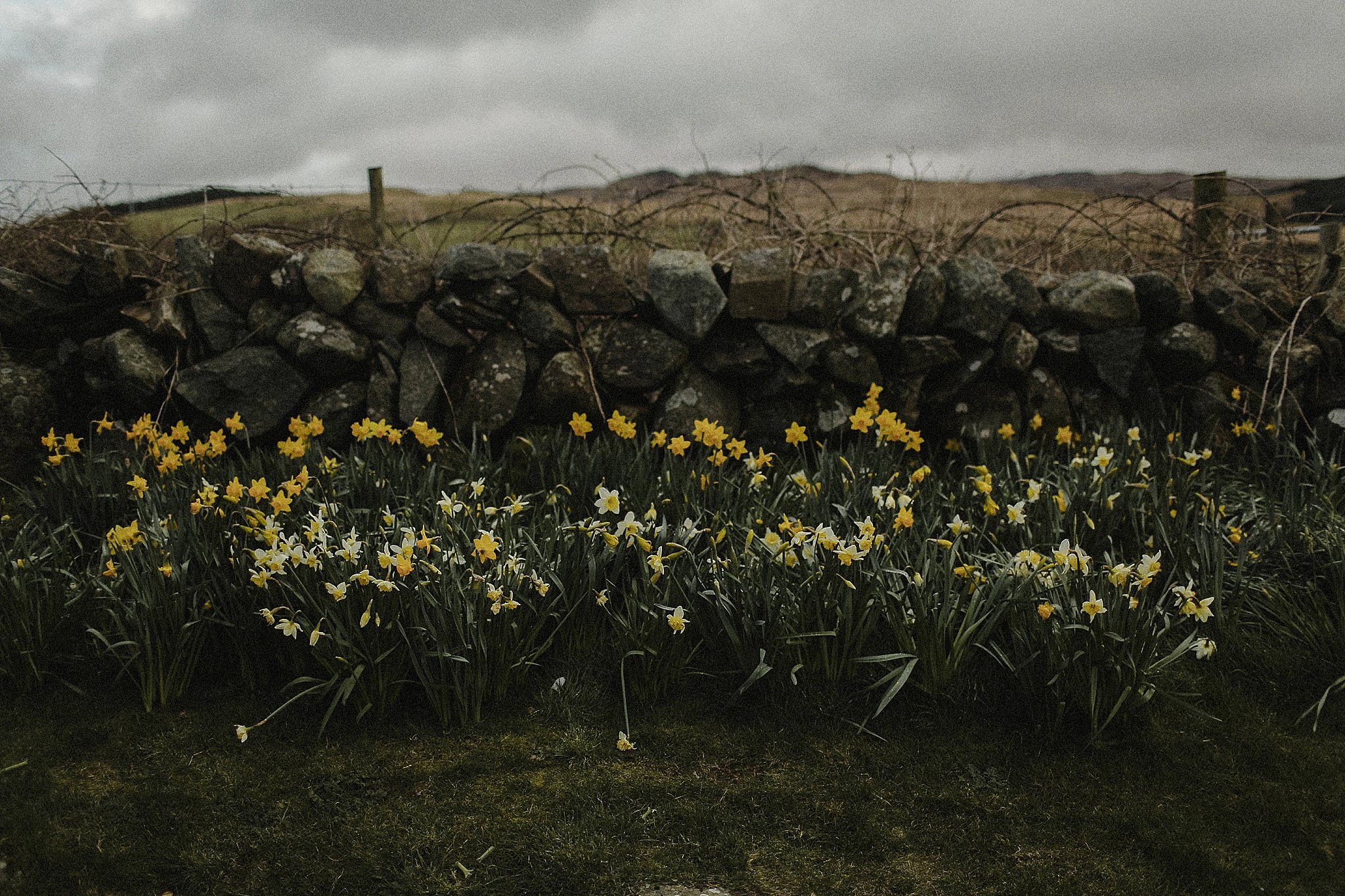 Crear_Wedding_Photography_Scottish_Highlands_0020.jpg