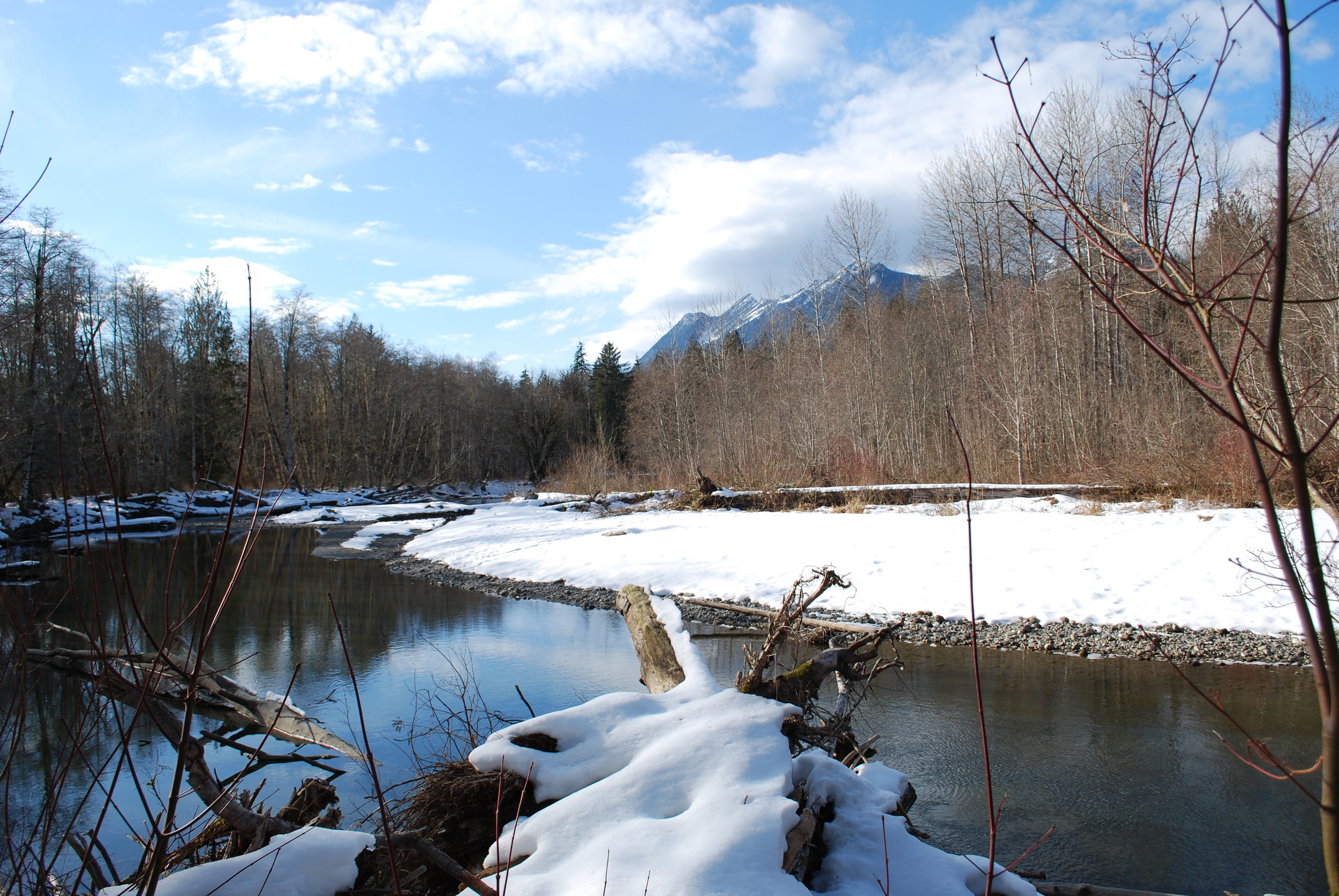 River at winter_3.JPG