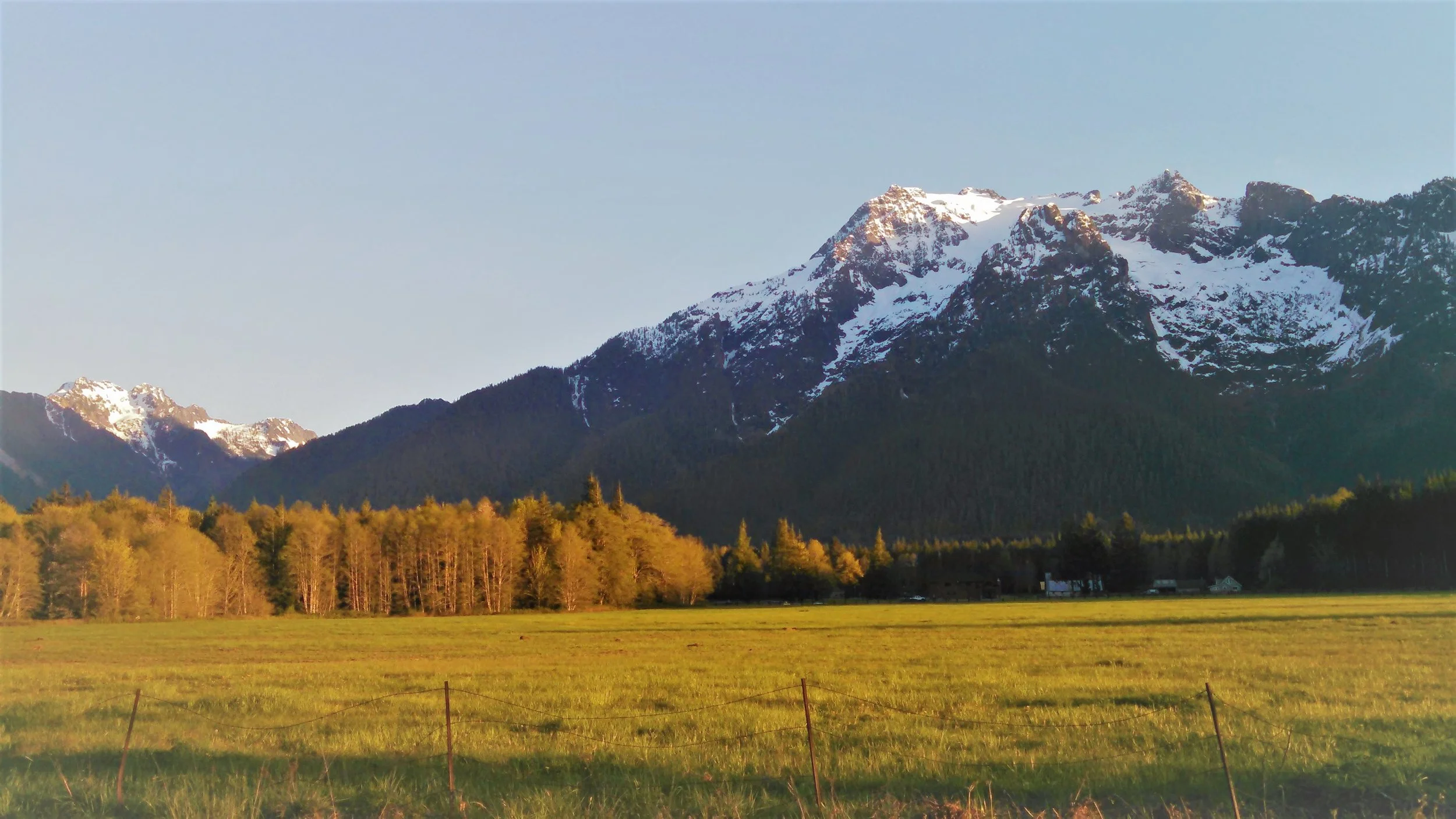 white horse_edited.jpg