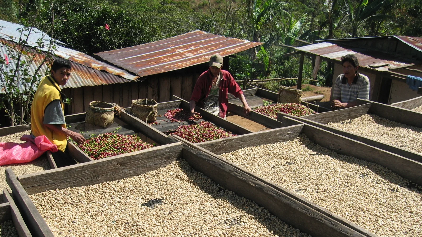 Nicaragua_Header.jpg