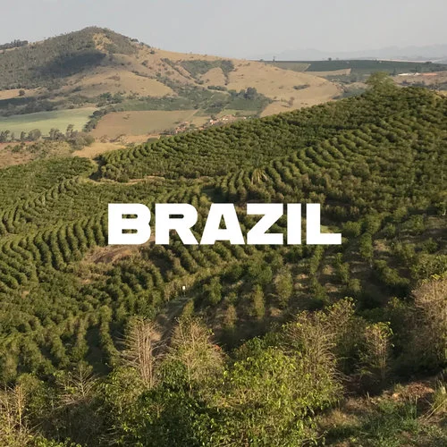 Copy of Brazil.jpg