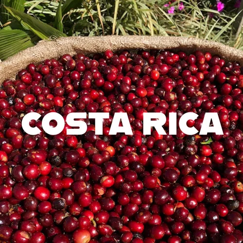 Copy of COSTA-RICA.jpg