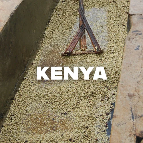 Kenya.jpg