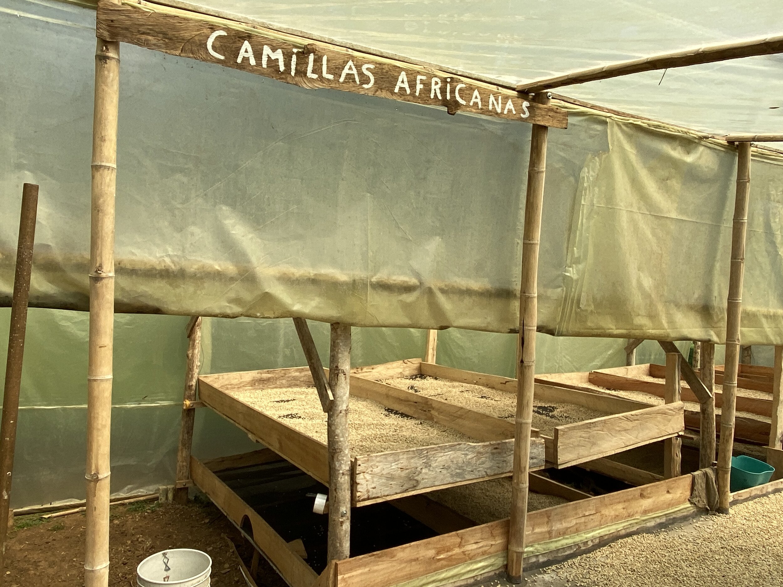  Raised drying beds at La Carmentulia 