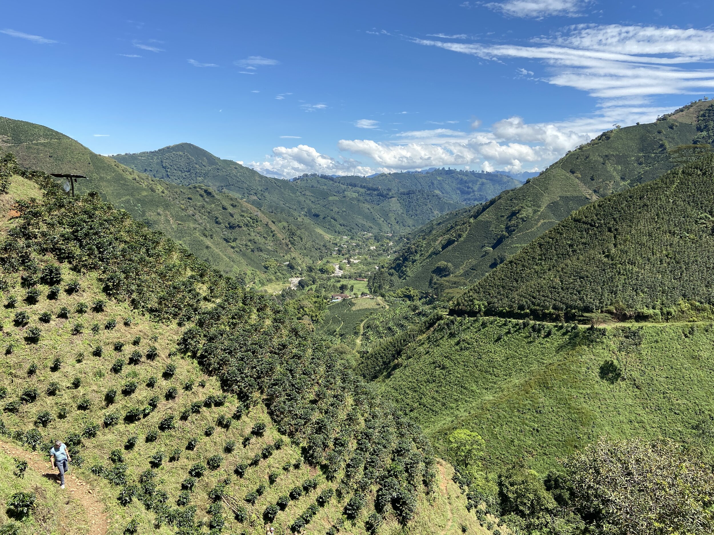  A view of one steep slope and the valley from a hillside on El Silencio 