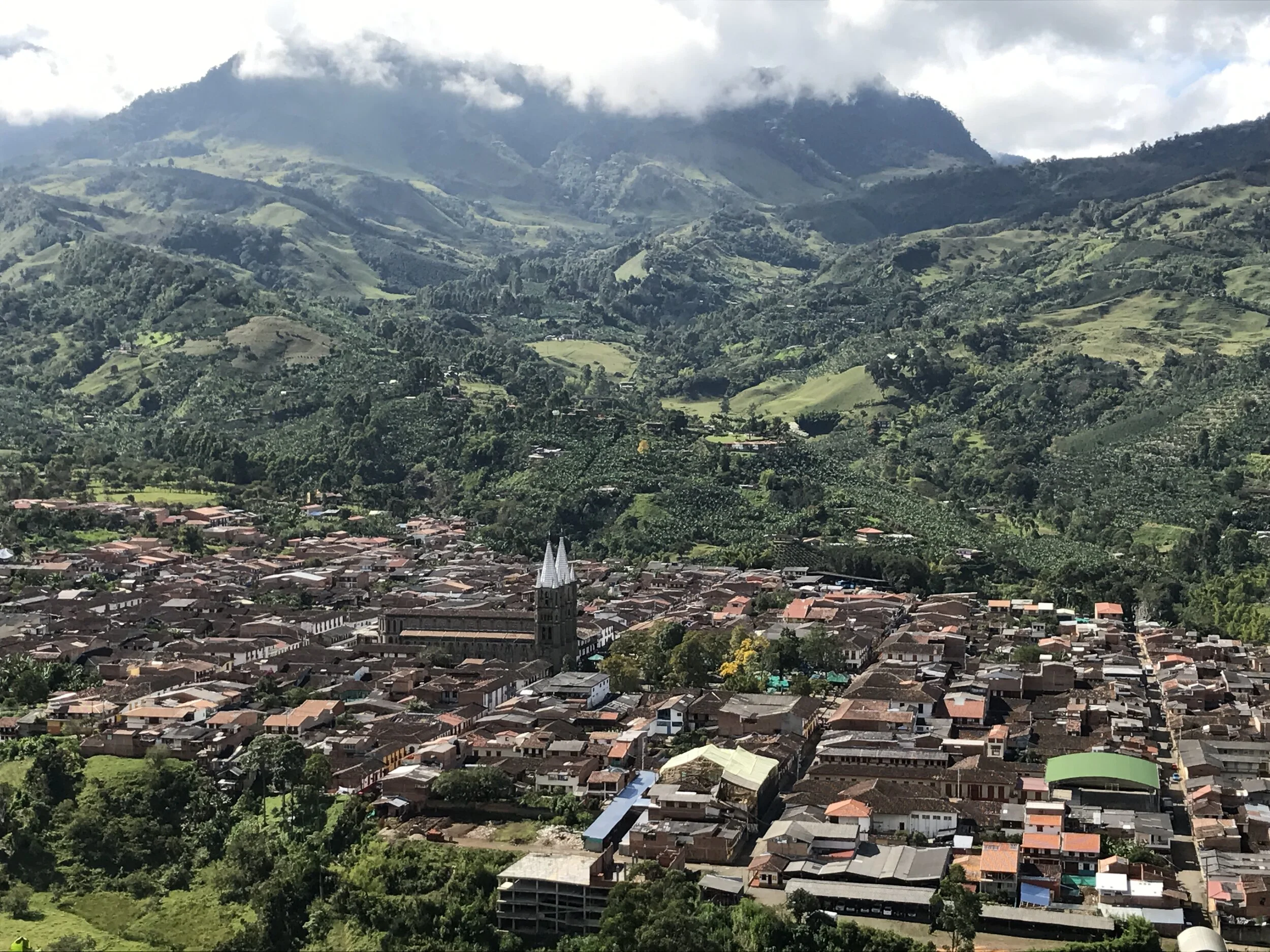 April 2020 update from Jardín