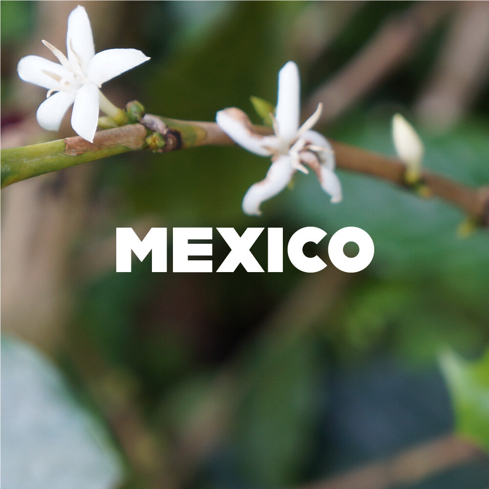 Origin_Thumbnail mexico-01.jpg