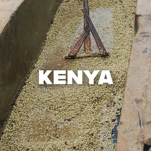 Kenya.jpg