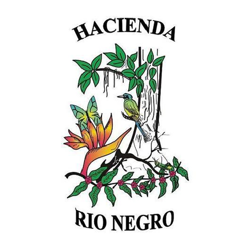 Rio Negro Logo.png