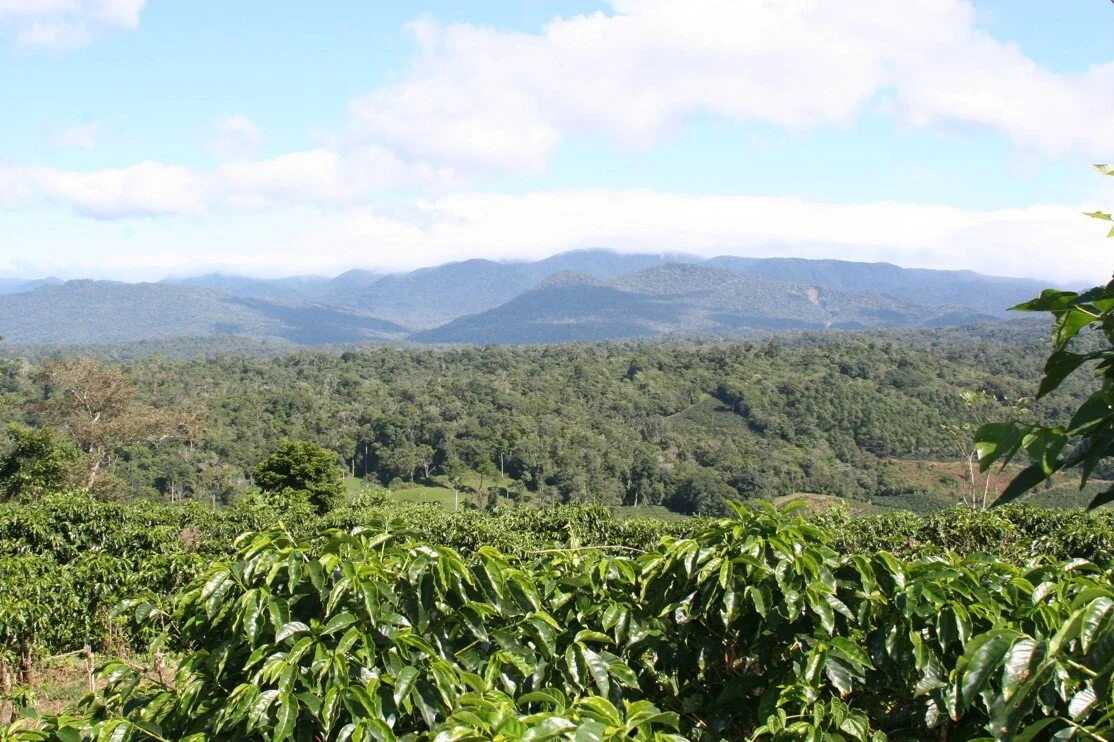 Hacienda Rio Negro Mountains.jpg