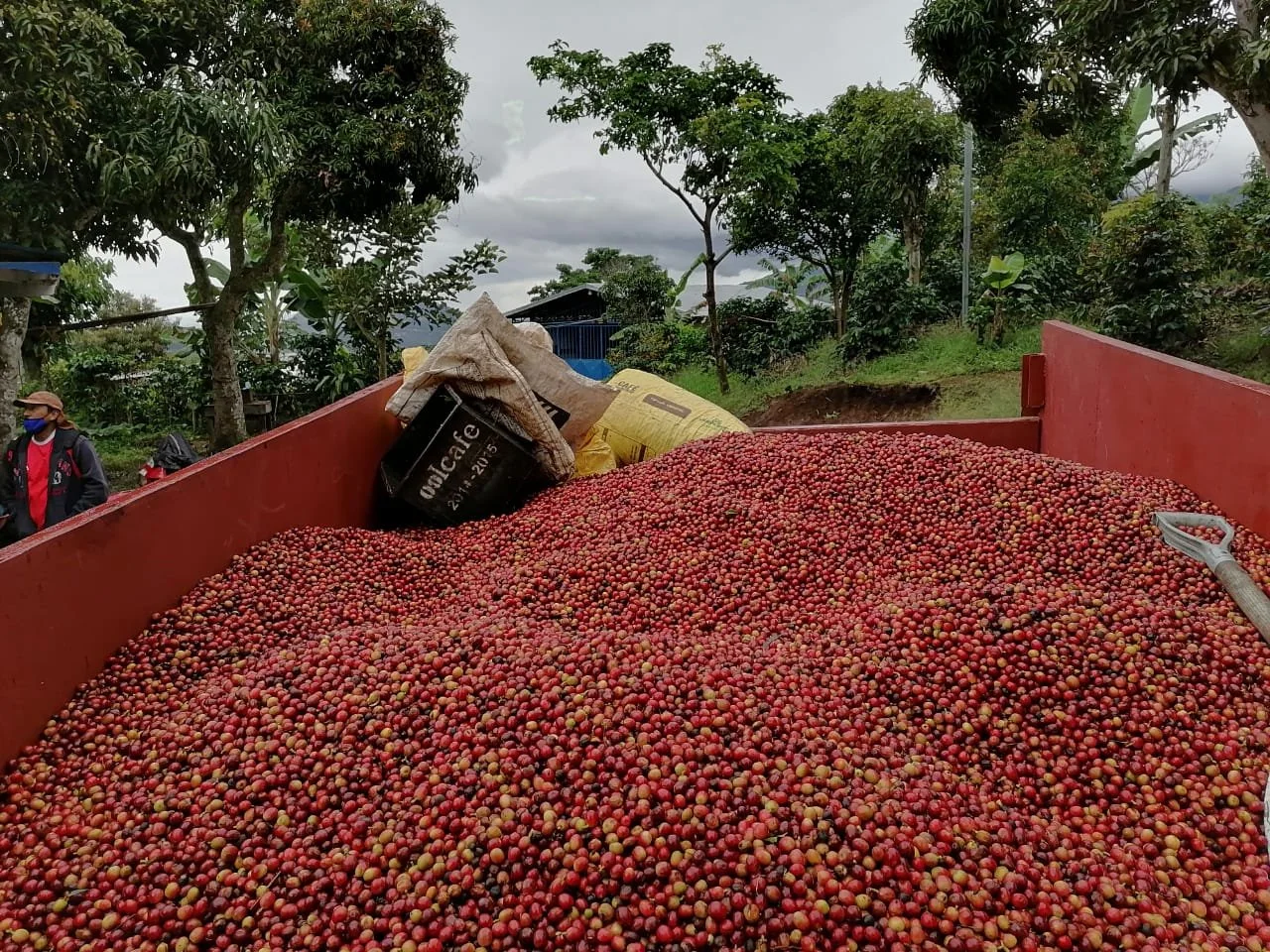 Harvest is underway!
