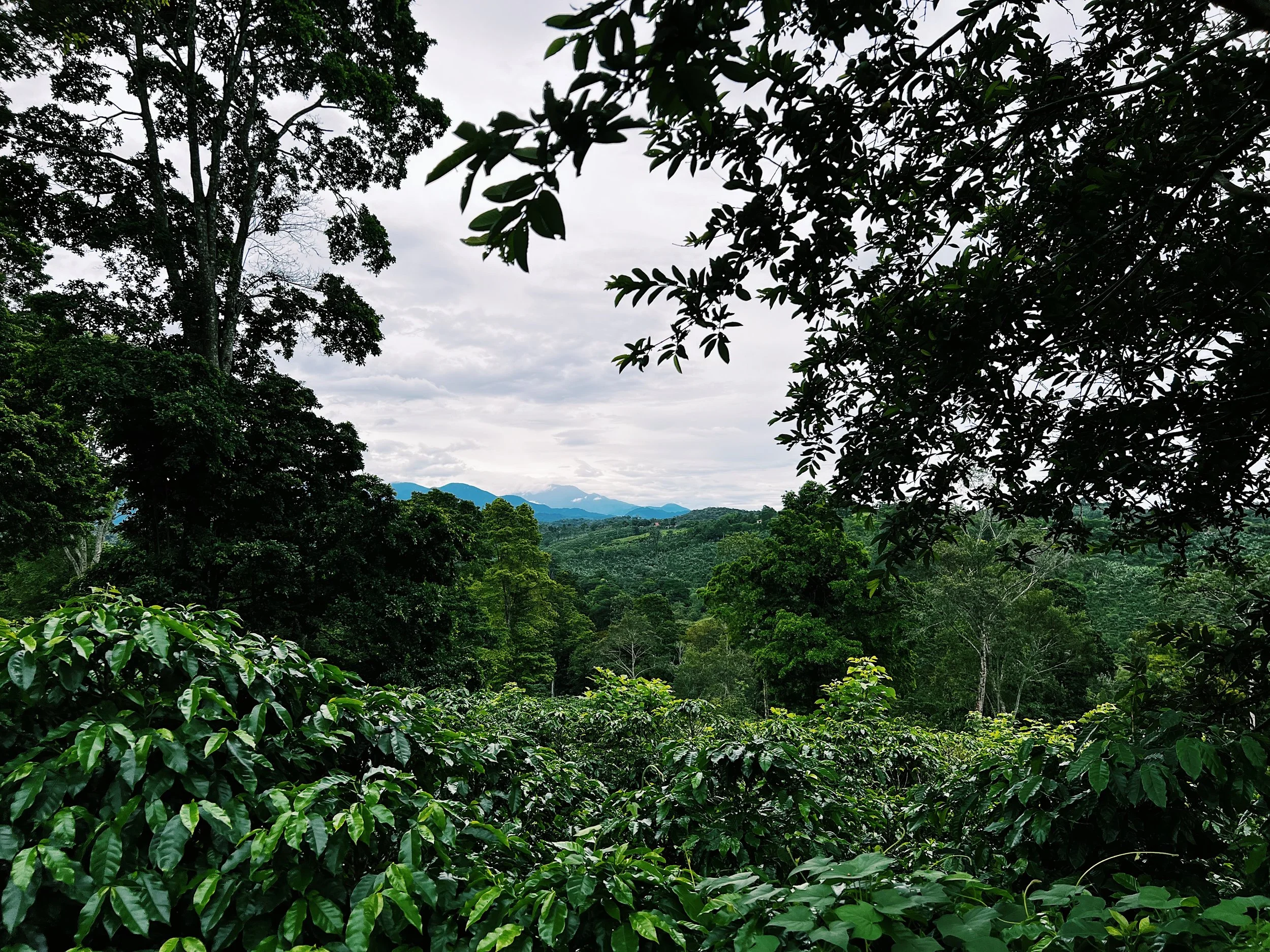 Field Notes September 2024
