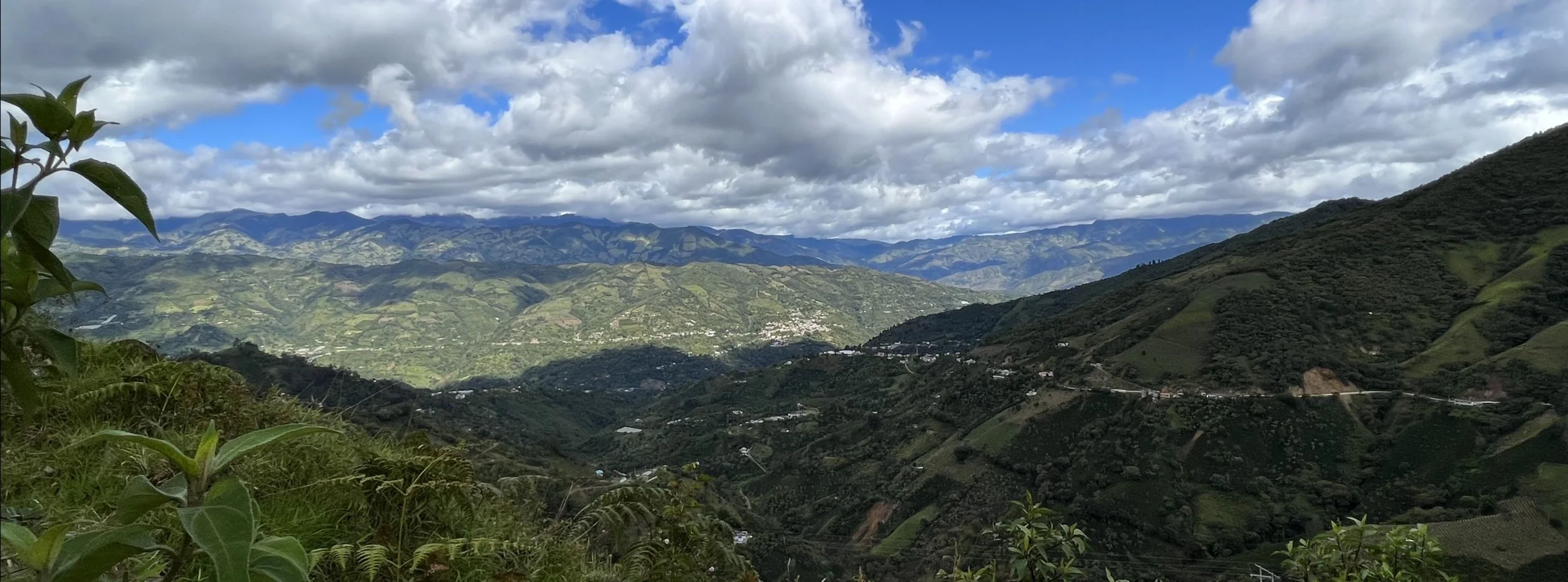 Field Notes February 2025