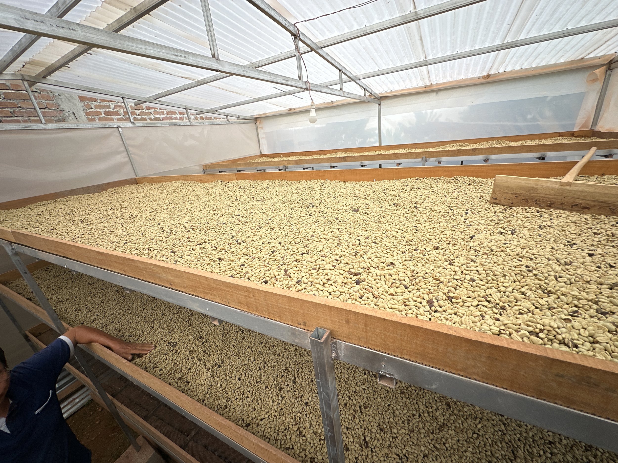 Field Notes August 2025