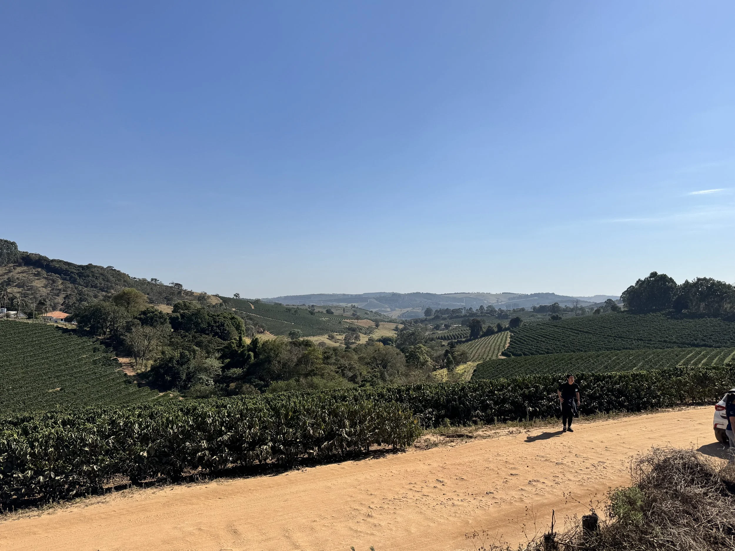 Field Notes September 2025