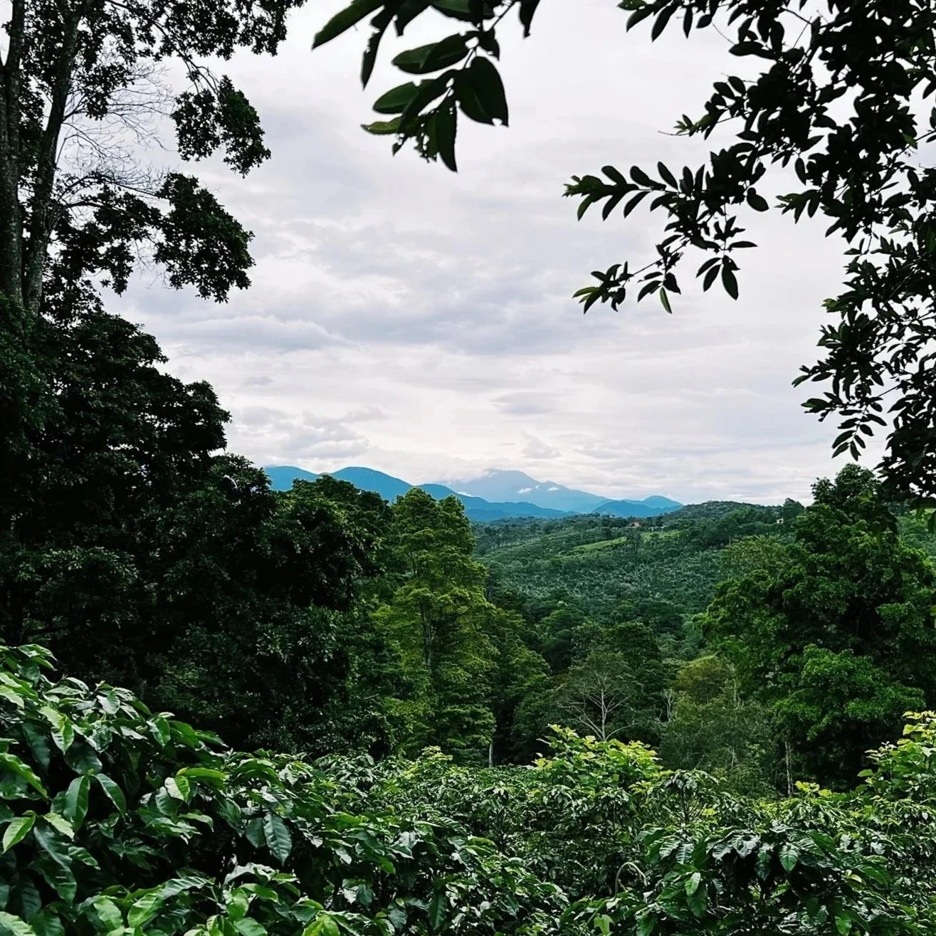 Field Notes November 2025