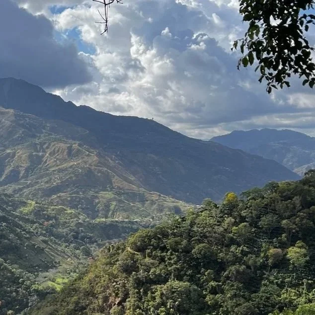 Field Notes December 2025