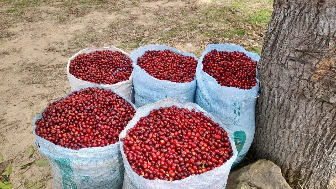 Field Notes January 2026