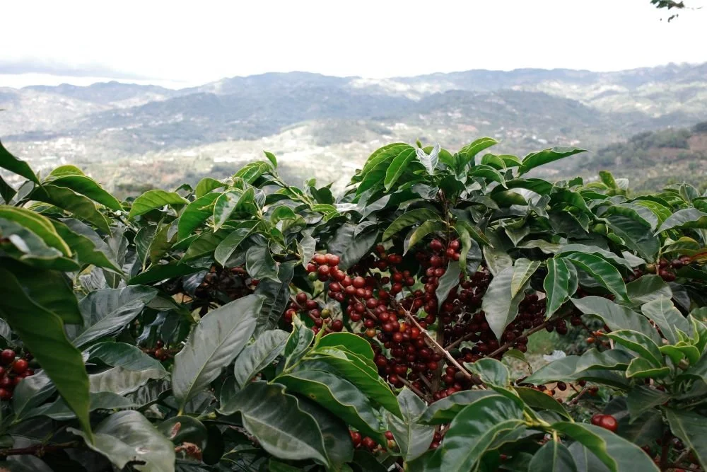 Field Notes February 2026