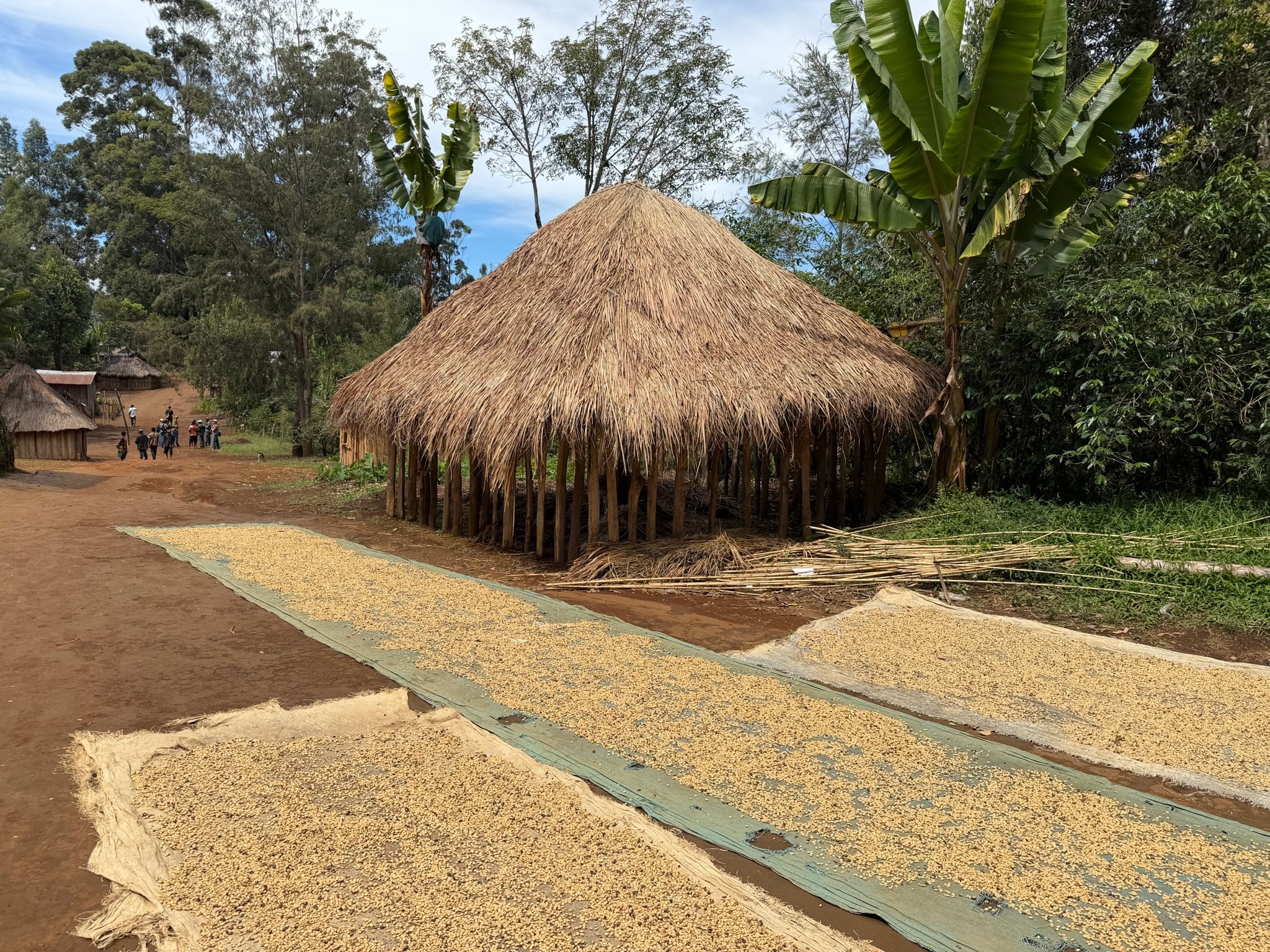 Field Notes September 2026