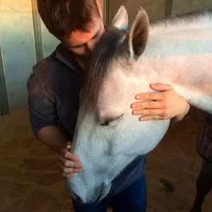 Harnessing the Power of Equine Therapy: Ocean View Stables Supports Veterans on the Path to Healing