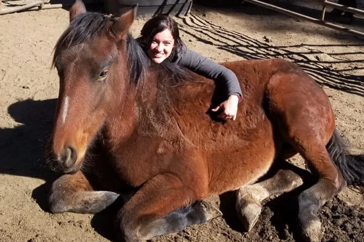 Taking a Stand Against Horse Slaughter: Ocean View Stables Advocates for Equine Welfare