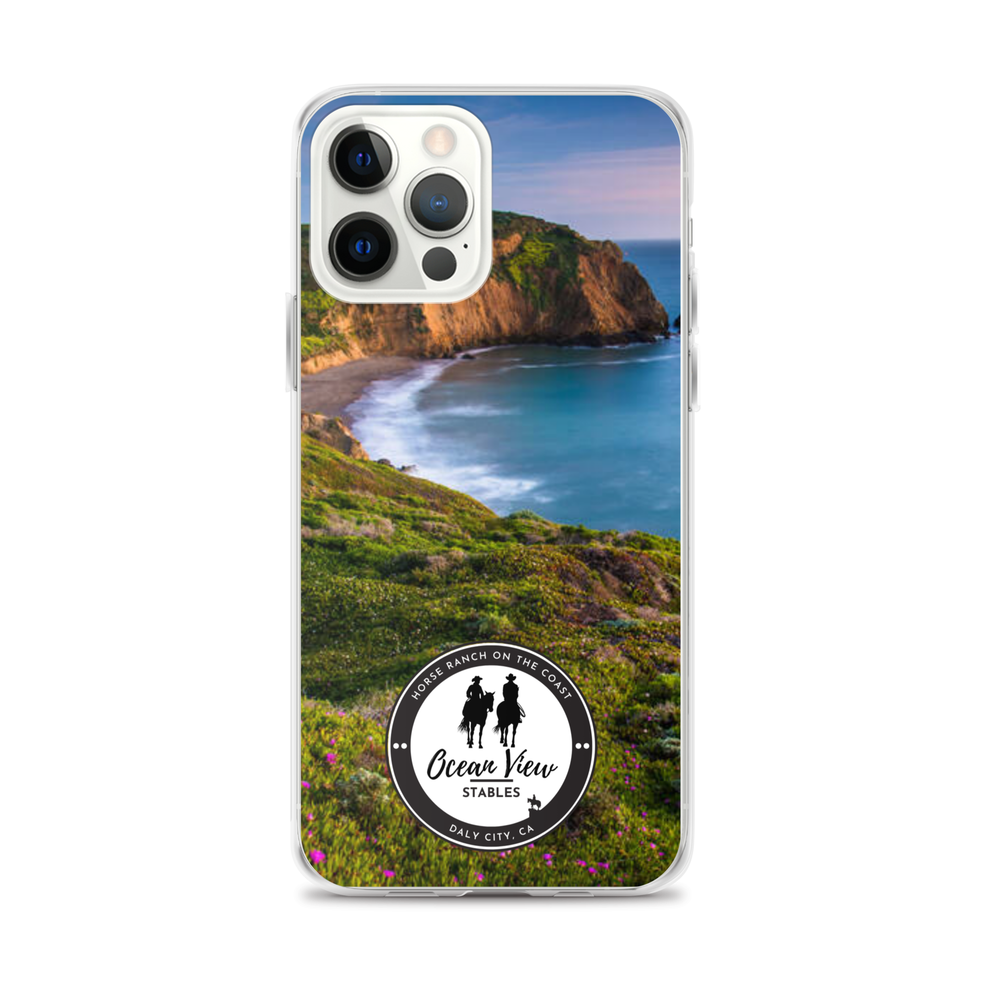 clear-case-for-iphone-iphone-12-pro-max-case-on-phone-644c394febf47.png