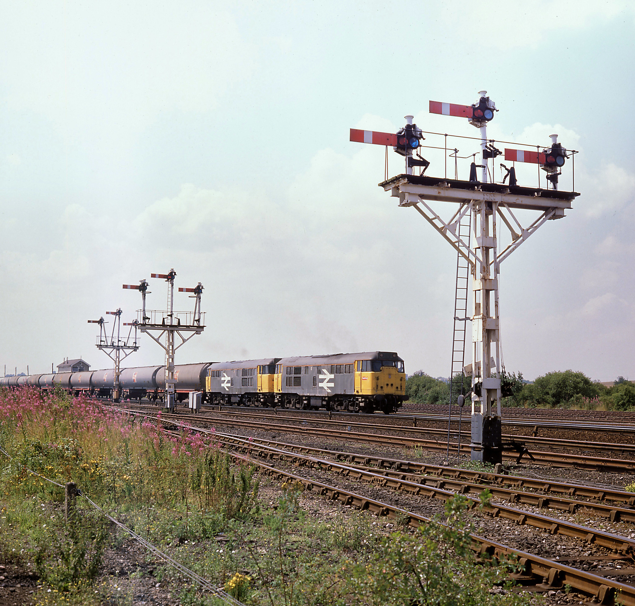 Photo courtesy Alan Padley
