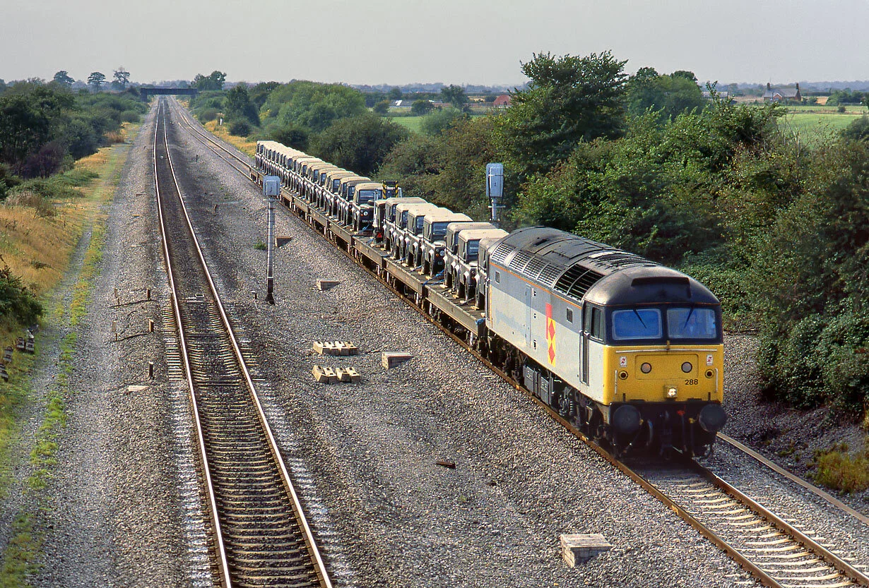 Photo courtesy Martin Loader