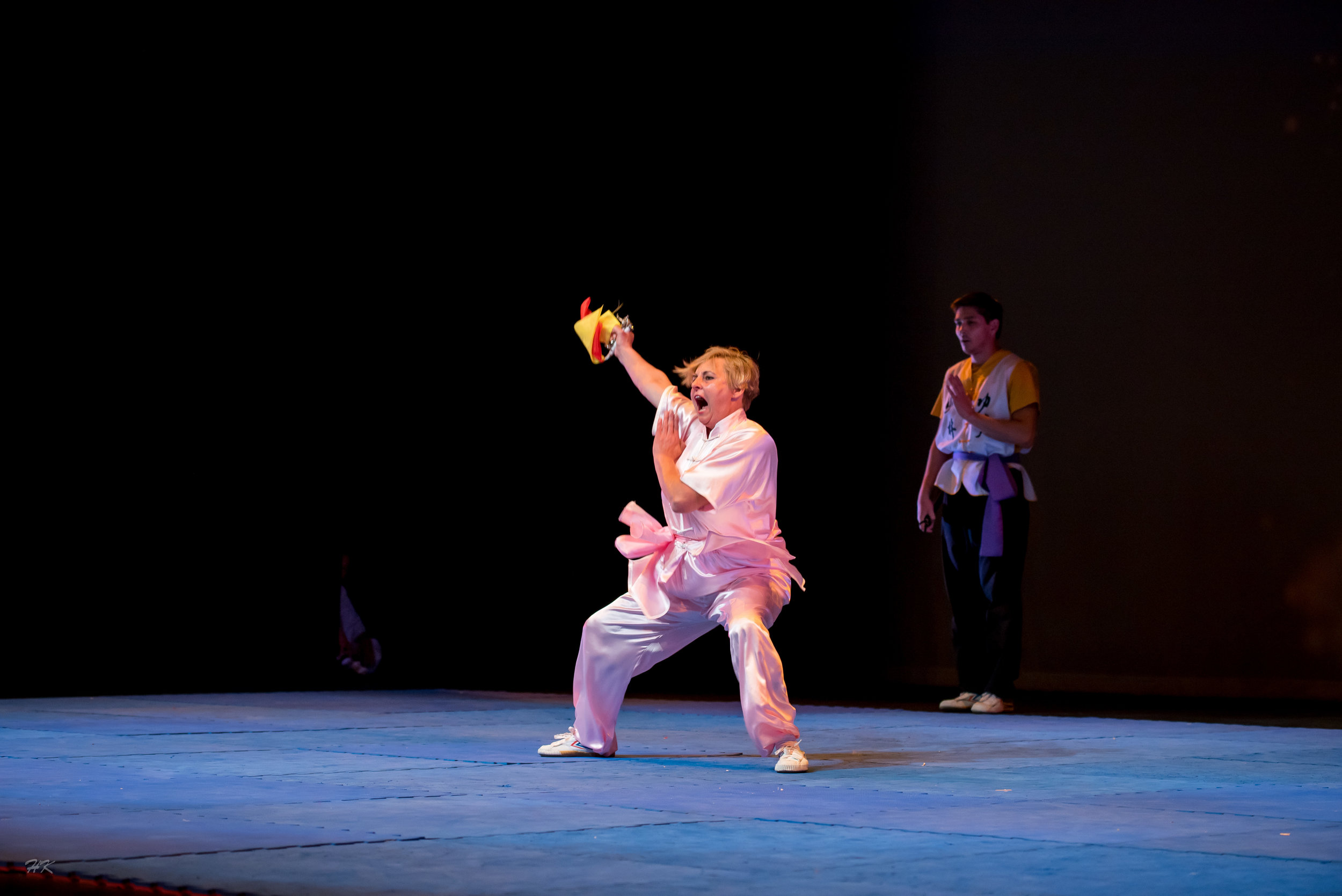 kungfu2017-255.jpg
