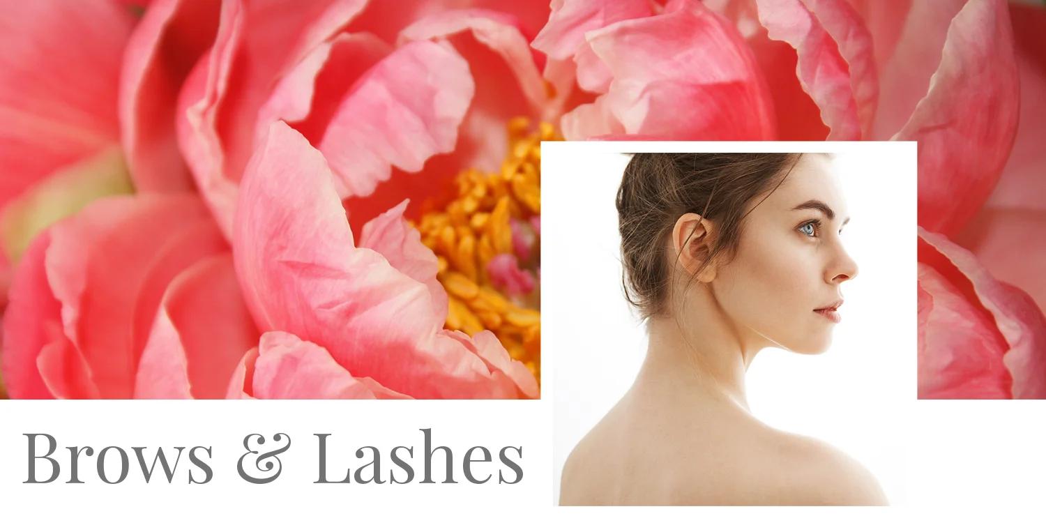 Brows and Lashes.jpg