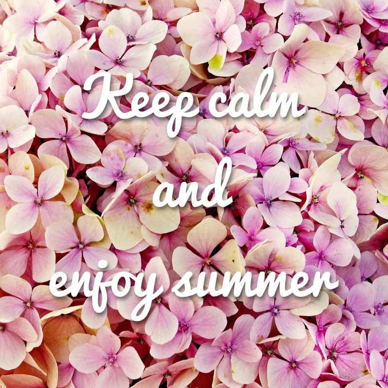 Here Comes Summer – Stress!