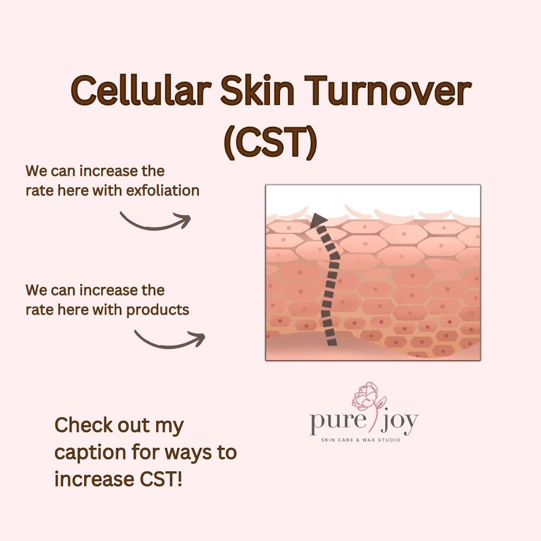 Dive into the fascinating world of skin renewal from a waxer's perspective!&nbsp; Our skin's natural exfoliation process, known as skin cell turnover, is a mesmerizing journey that spans around 4️⃣ weeks. For the first 14 days, fresh skin cells emerg