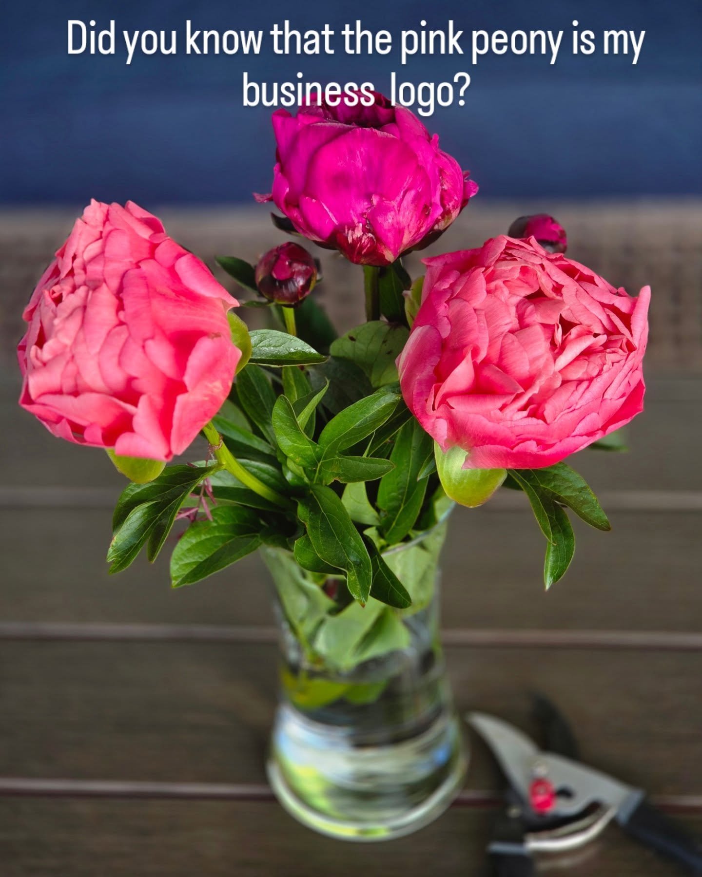 I couldn&rsquo;t resist snapping a photo of these gorgeous peonies blooming in my garden &mdash; they&rsquo;re now brightening up the treatment room at Pure Joy!

Did you know the peony is part of my logo? It&rsquo;s one of my all-time favorite flowe