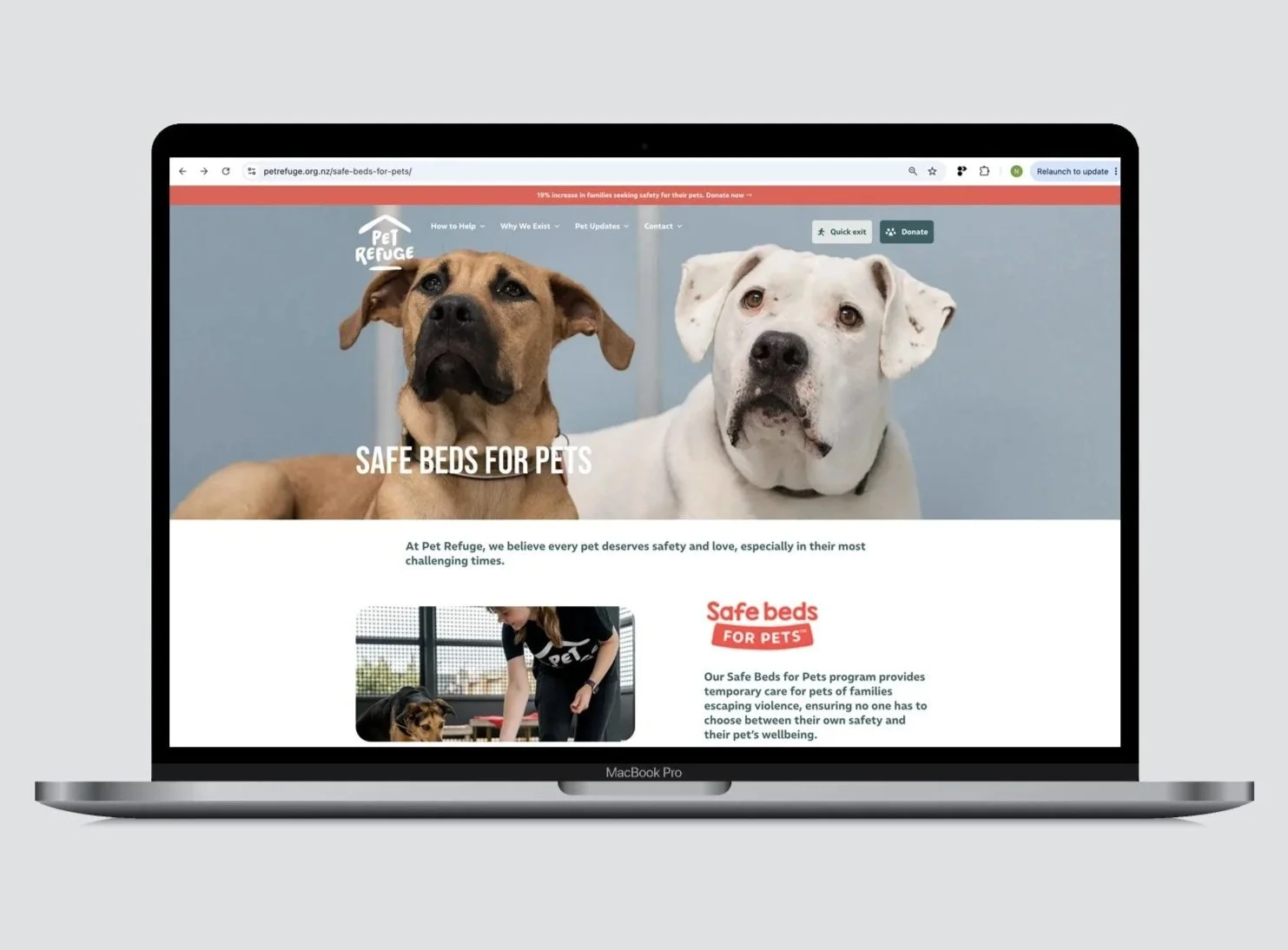 Safe Beds For Pets web page